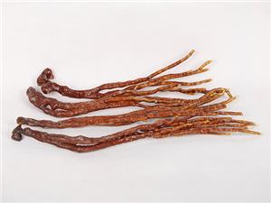 【源宇生物科技】破壁灵芝孢子粉每天应该什么时间服用？